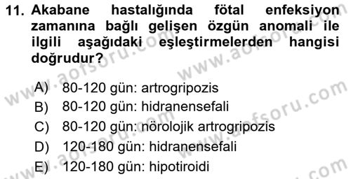 Viroloji Dersi 2025 - 2026 Yılı (Final) Dönem Sonu Sınav Soruları 11. Soru