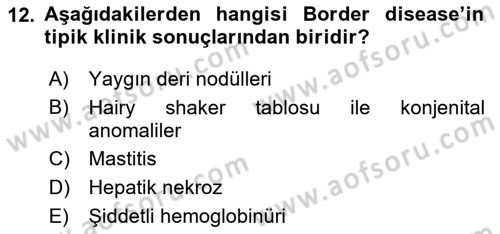 Viroloji Dersi 2025 - 2026 Yılı (Final) Dönem Sonu Sınav Soruları 12. Soru