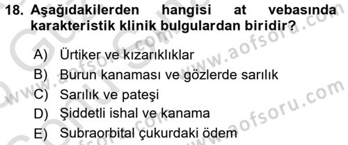 Viroloji Dersi 2025 - 2026 Yılı (Final) Dönem Sonu Sınav Soruları 18. Soru