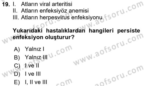 Viroloji Dersi 2025 - 2026 Yılı (Final) Dönem Sonu Sınav Soruları 19. Soru