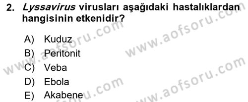 Viroloji Dersi 2025 - 2026 Yılı (Final) Dönem Sonu Sınav Soruları 2. Soru
