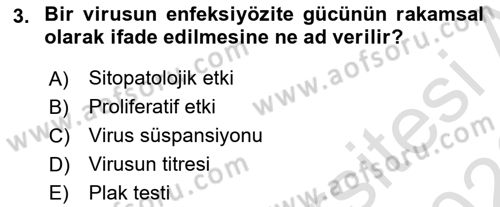 Viroloji Dersi 2025 - 2026 Yılı (Final) Dönem Sonu Sınav Soruları 3. Soru