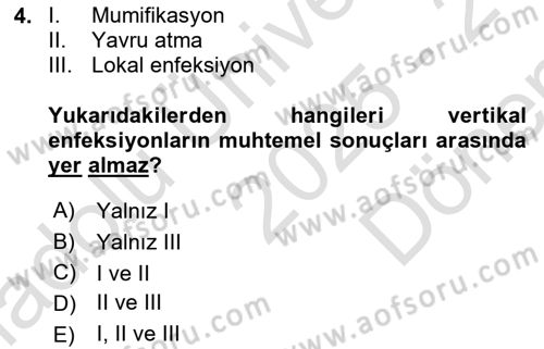 Viroloji Dersi 2025 - 2026 Yılı (Final) Dönem Sonu Sınav Soruları 4. Soru