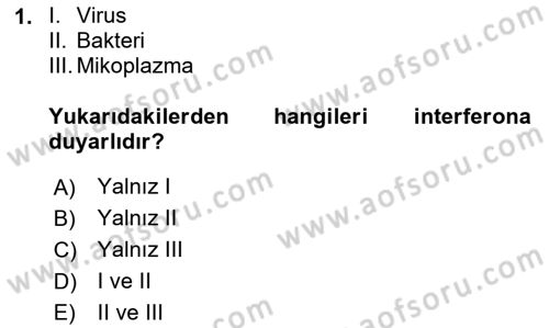 Viroloji Dersi 2025 - 2026 Yılı Yaz Okulu Sınav Soruları 1. Soru