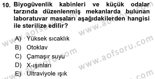 Viroloji Dersi 2025 - 2026 Yılı Yaz Okulu Sınav Soruları 10. Soru