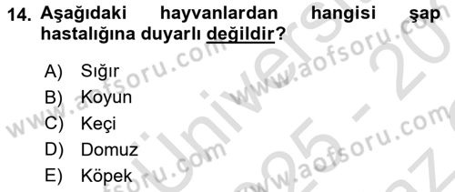 Viroloji Dersi 2025 - 2026 Yılı Yaz Okulu Sınav Soruları 14. Soru