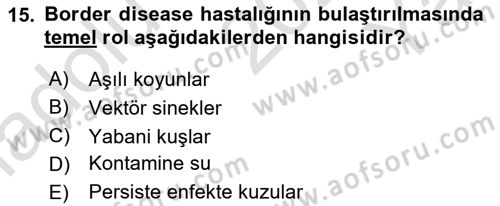 Viroloji Dersi 2025 - 2026 Yılı Yaz Okulu Sınav Soruları 15. Soru