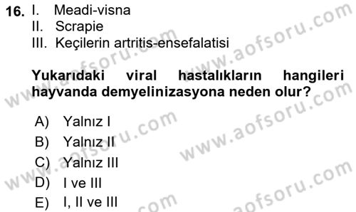 Viroloji Dersi 2025 - 2026 Yılı Yaz Okulu Sınav Soruları 16. Soru
