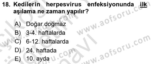 Viroloji Dersi 2025 - 2026 Yılı Yaz Okulu Sınav Soruları 18. Soru