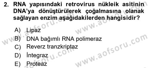 Viroloji Dersi 2025 - 2026 Yılı Yaz Okulu Sınav Soruları 2. Soru