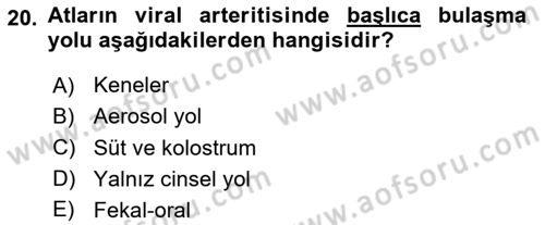 Viroloji Dersi 2025 - 2026 Yılı Yaz Okulu Sınav Soruları 20. Soru