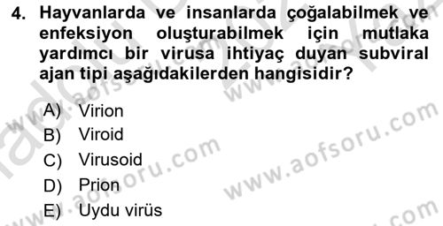 Viroloji Dersi 2025 - 2026 Yılı Yaz Okulu Sınav Soruları 4. Soru