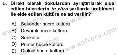 Viroloji Dersi 2025 - 2026 Yılı Yaz Okulu Sınav Soruları 5. Soru