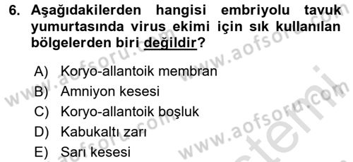 Viroloji Dersi 2025 - 2026 Yılı Yaz Okulu Sınav Soruları 6. Soru