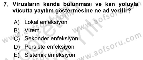 Viroloji Dersi 2025 - 2026 Yılı Yaz Okulu Sınav Soruları 7. Soru