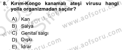 Viroloji Dersi 2025 - 2026 Yılı Yaz Okulu Sınav Soruları 8. Soru