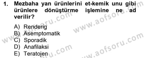 Gıda Güvenliğinin Temel Prensipleri Dersi 2012 - 2013 Yılı (Vize) Ara Sınav Soruları 1. Soru