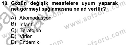 Gıda Güvenliğinin Temel Prensipleri Dersi 2012 - 2013 Yılı (Vize) Ara Sınav Soruları 18. Soru