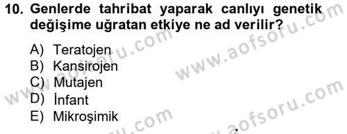 Gıda Güvenliğinin Temel Prensipleri Dersi 2012 - 2013 Yılı (Final) Dönem Sonu Sınav Soruları 10. Soru