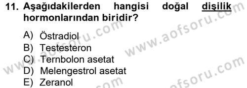 Gıda Güvenliğinin Temel Prensipleri Dersi 2012 - 2013 Yılı (Final) Dönem Sonu Sınav Soruları 11. Soru