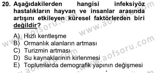 Gıda Güvenliğinin Temel Prensipleri Dersi 2012 - 2013 Yılı (Final) Dönem Sonu Sınav Soruları 20. Soru