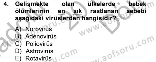 Gıda Güvenliğinin Temel Prensipleri Dersi 2012 - 2013 Yılı (Final) Dönem Sonu Sınav Soruları 4. Soru