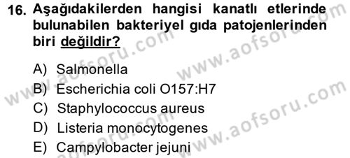 Gıda Güvenliğinin Temel Prensipleri Dersi 2013 - 2014 Yılı (Vize) Ara Sınav Soruları 16. Soru