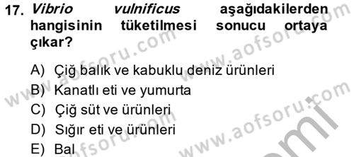 Gıda Güvenliğinin Temel Prensipleri Dersi 2013 - 2014 Yılı (Vize) Ara Sınav Soruları 17. Soru