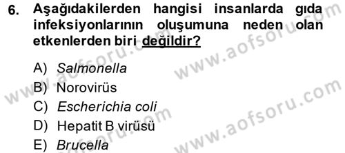 Gıda Güvenliğinin Temel Prensipleri Dersi 2013 - 2014 Yılı (Vize) Ara Sınav Soruları 6. Soru