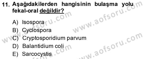 Gıda Güvenliğinin Temel Prensipleri Dersi 2013 - 2014 Yılı (Final) Dönem Sonu Sınav Soruları 11. Soru