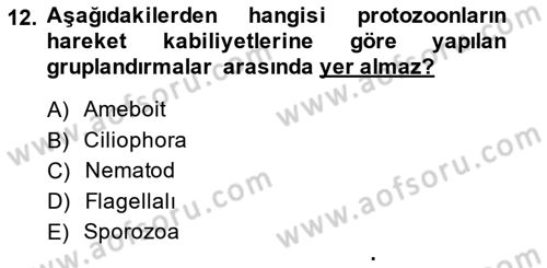 Gıda Güvenliğinin Temel Prensipleri Dersi 2013 - 2014 Yılı (Final) Dönem Sonu Sınav Soruları 12. Soru