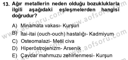 Gıda Güvenliğinin Temel Prensipleri Dersi 2013 - 2014 Yılı (Final) Dönem Sonu Sınav Soruları 13. Soru