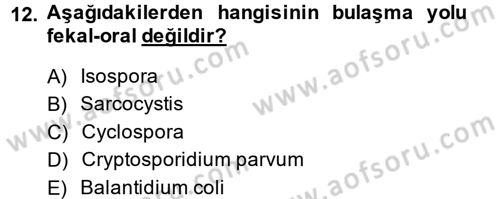 Gıda Güvenliğinin Temel Prensipleri Dersi 2013 - 2014 Yılı Tek Ders Sınav Soruları 12. Soru