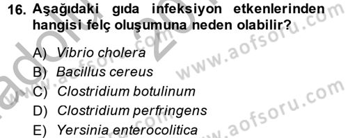 Gıda Güvenliğinin Temel Prensipleri Dersi 2014 - 2015 Yılı (Vize) Ara Sınav Soruları 16. Soru