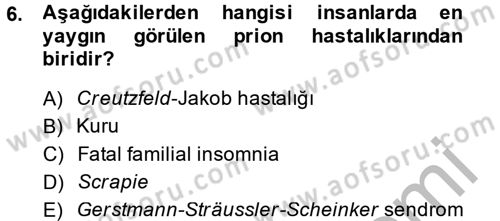 Gıda Güvenliğinin Temel Prensipleri Dersi 2014 - 2015 Yılı (Vize) Ara Sınav Soruları 6. Soru