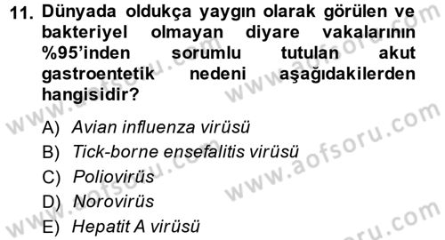 Gıda Güvenliğinin Temel Prensipleri Dersi 2014 - 2015 Yılı (Final) Dönem Sonu Sınav Soruları 11. Soru