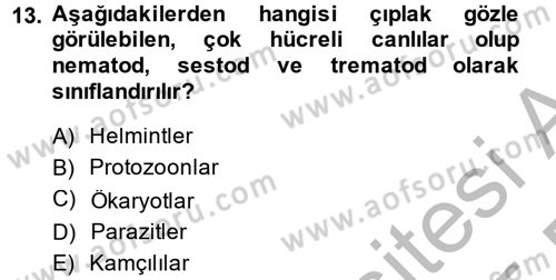 Gıda Güvenliğinin Temel Prensipleri Dersi 2014 - 2015 Yılı (Final) Dönem Sonu Sınav Soruları 13. Soru