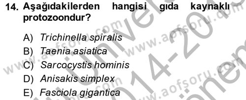 Gıda Güvenliğinin Temel Prensipleri Dersi 2014 - 2015 Yılı (Final) Dönem Sonu Sınav Soruları 14. Soru