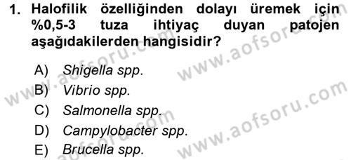 Gıda Güvenliğinin Temel Prensipleri Dersi 2015 - 2016 Yılı (Vize) Ara Sınav Soruları 1. Soru