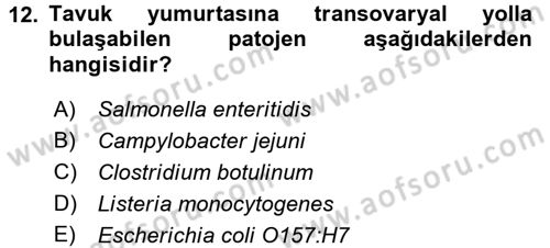 Gıda Güvenliğinin Temel Prensipleri Dersi 2015 - 2016 Yılı (Vize) Ara Sınav Soruları 12. Soru
