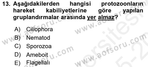 Gıda Güvenliğinin Temel Prensipleri Dersi 2015 - 2016 Yılı Tek Ders Sınav Soruları 13. Soru