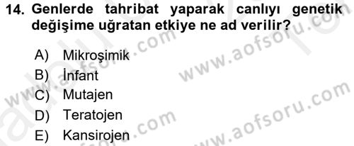 Gıda Güvenliğinin Temel Prensipleri Dersi 2015 - 2016 Yılı Tek Ders Sınav Soruları 14. Soru