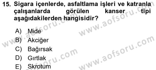 Gıda Güvenliğinin Temel Prensipleri Dersi 2015 - 2016 Yılı Tek Ders Sınav Soruları 15. Soru
