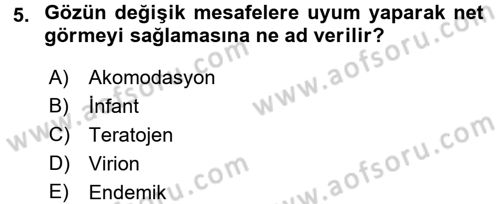 Gıda Güvenliğinin Temel Prensipleri Dersi 2015 - 2016 Yılı Tek Ders Sınav Soruları 5. Soru