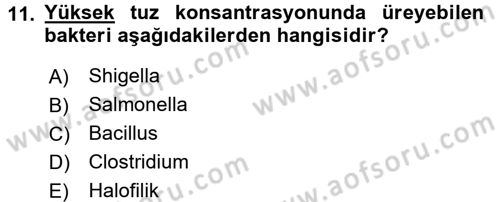 Gıda Güvenliğinin Temel Prensipleri Dersi 2016 - 2017 Yılı 3 Ders Sınav Soruları 11. Soru