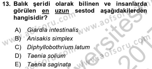 Gıda Güvenliğinin Temel Prensipleri Dersi 2016 - 2017 Yılı 3 Ders Sınav Soruları 13. Soru