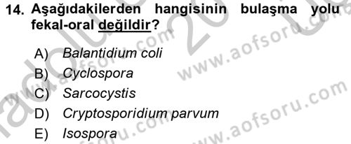 Gıda Güvenliğinin Temel Prensipleri Dersi 2016 - 2017 Yılı 3 Ders Sınav Soruları 14. Soru