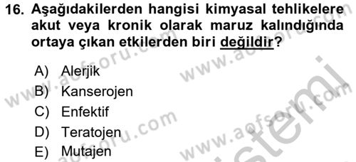 Gıda Güvenliğinin Temel Prensipleri Dersi 2016 - 2017 Yılı 3 Ders Sınav Soruları 16. Soru