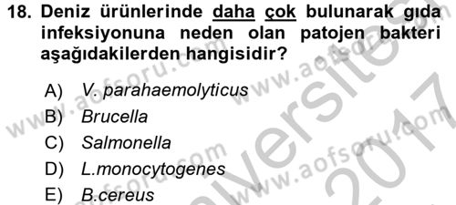 Gıda Güvenliğinin Temel Prensipleri Dersi 2016 - 2017 Yılı (Vize) Ara Sınav Soruları 18. Soru