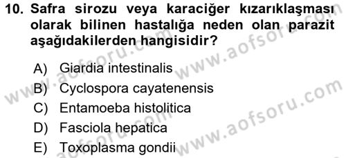 Gıda Güvenliğinin Temel Prensipleri Dersi 2016 - 2017 Yılı (Final) Dönem Sonu Sınav Soruları 10. Soru